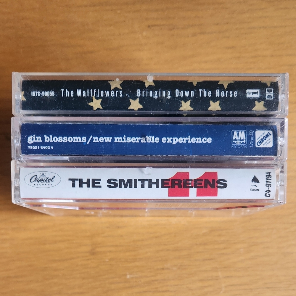Wallflowers, Gin Blossoms, Smithereens - 1990s & 80s Cassette Tapes (Lot of 3) 